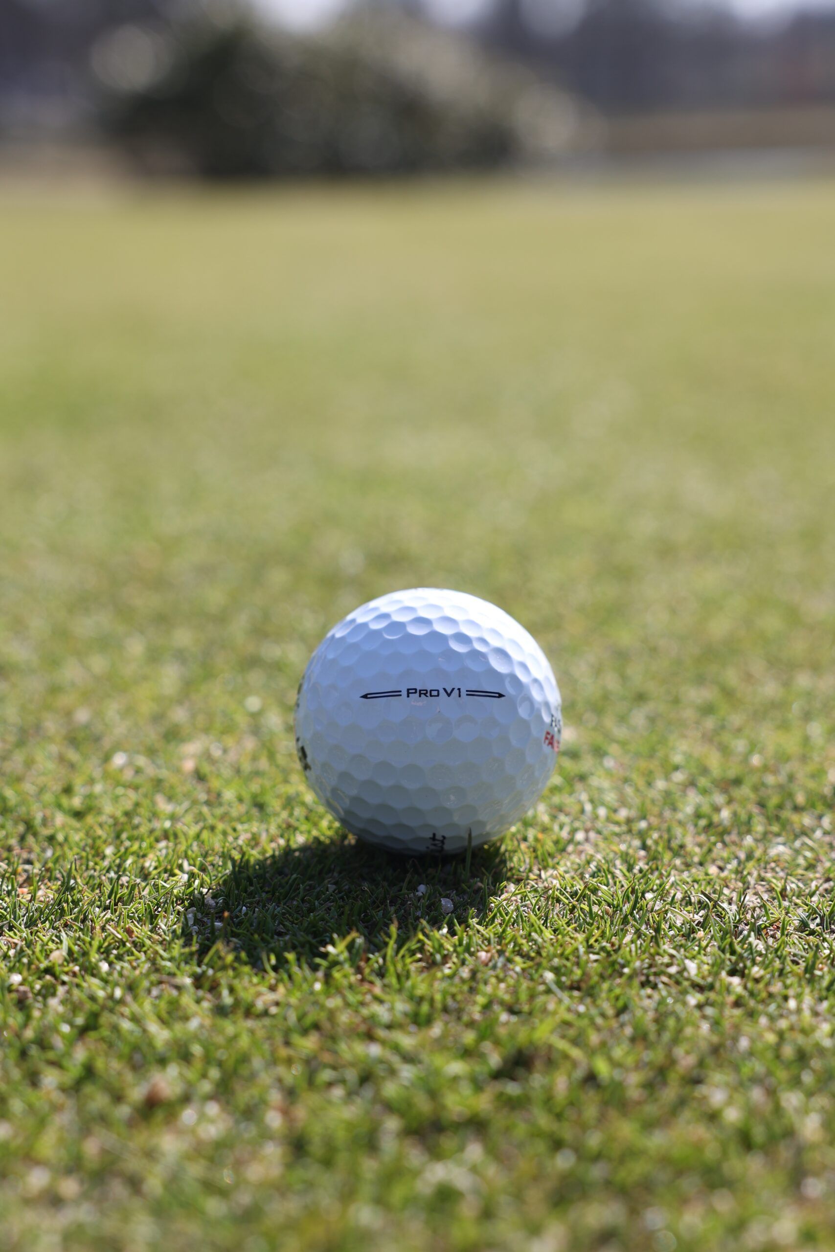 FAKE Titleist Pro V1 Limited Golfball