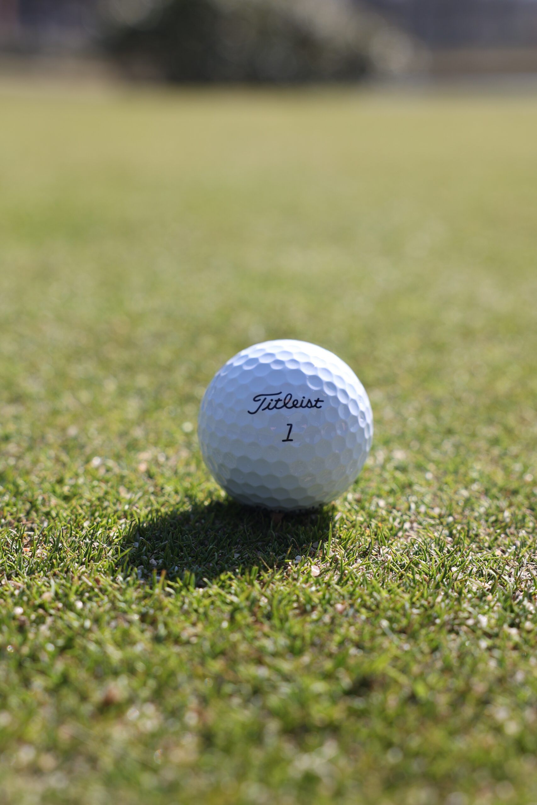 FAKE Titleist Pro V1 Limited Golfball