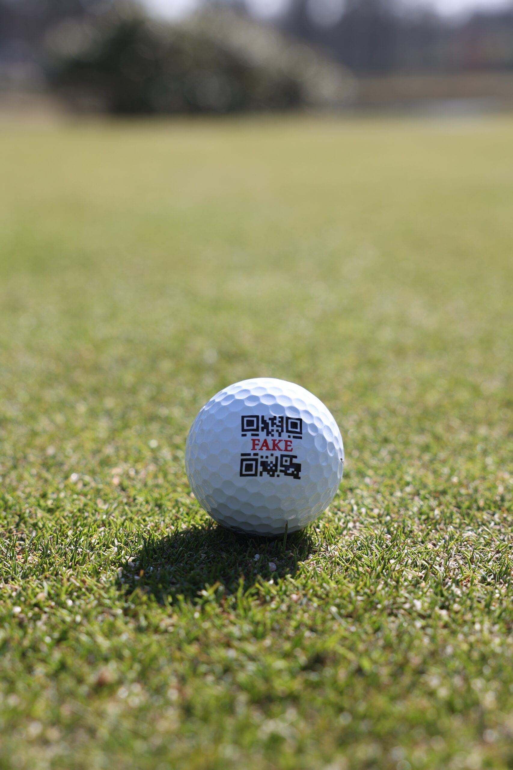 FAKE Titleist Pro V1 Limited Golfball