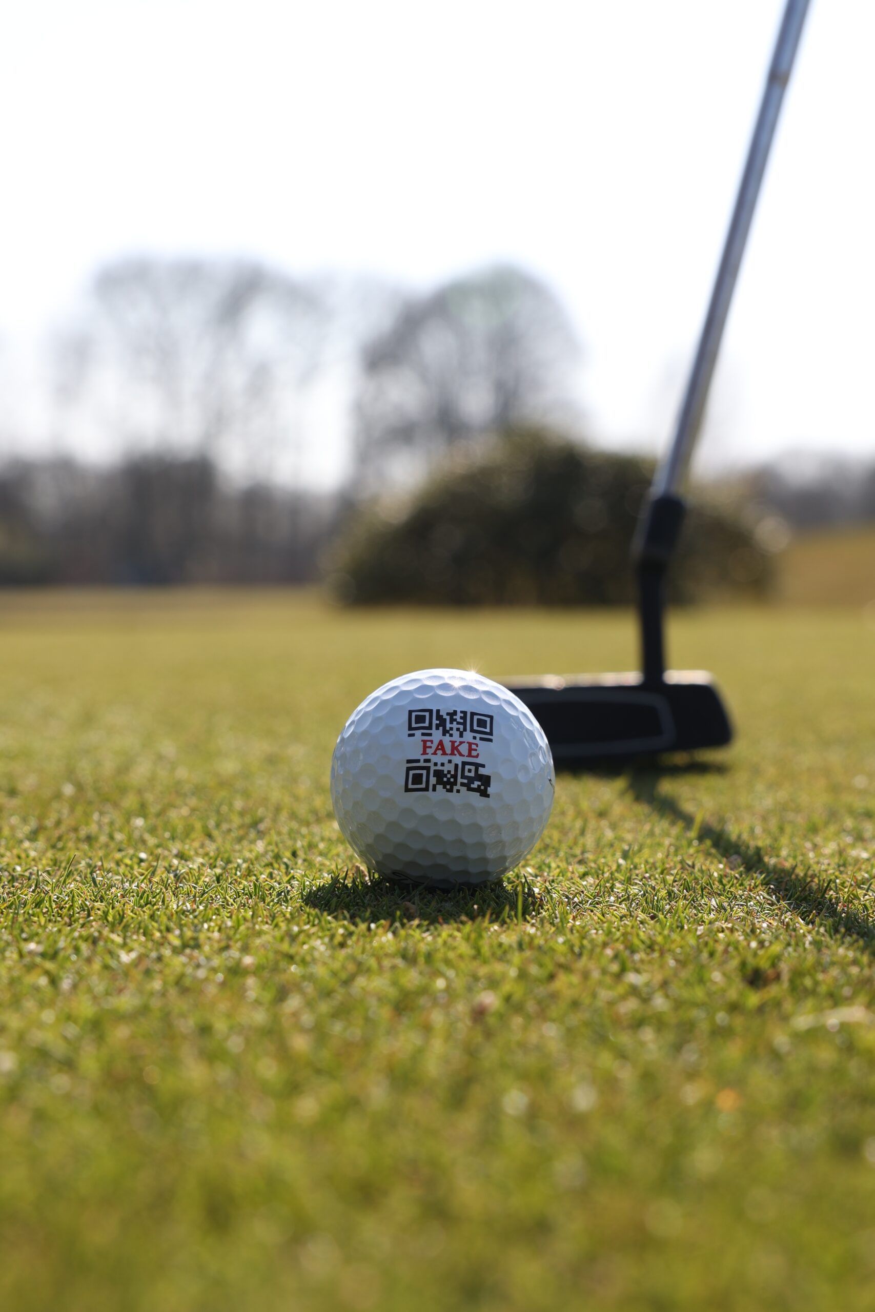 FAKE Titleist Pro V1 Limited Golfball